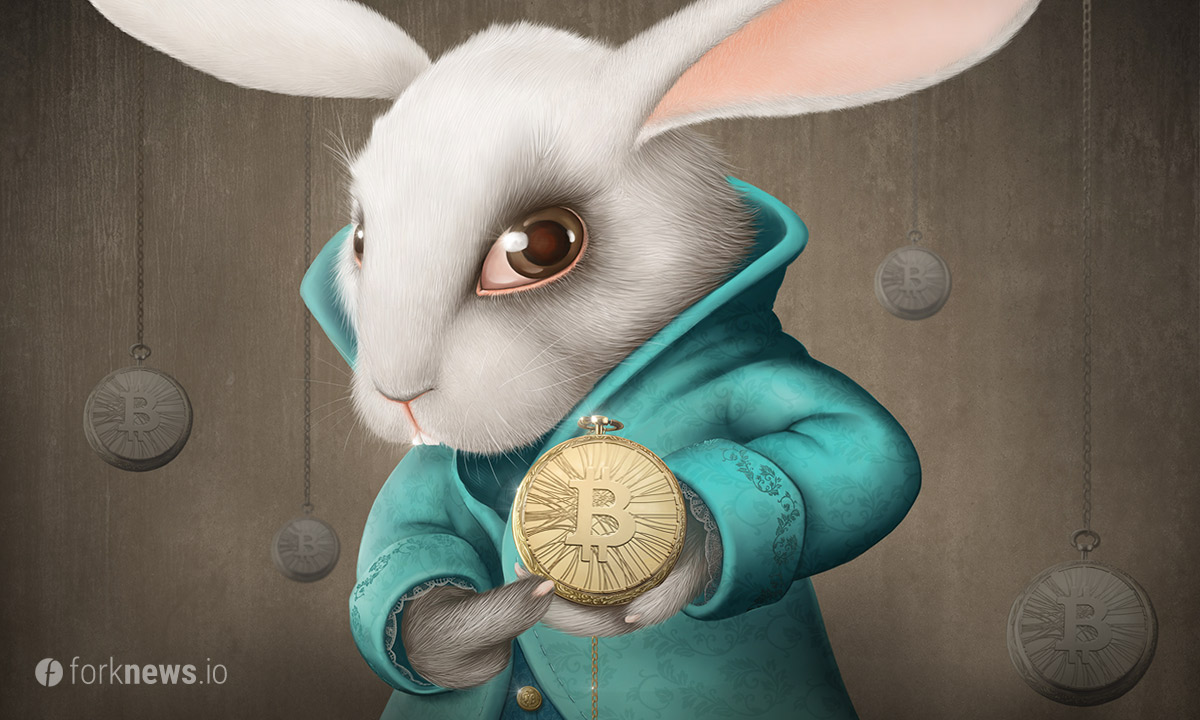 «Белый кролик» угрожает анонимности транзакций в сети биткоин