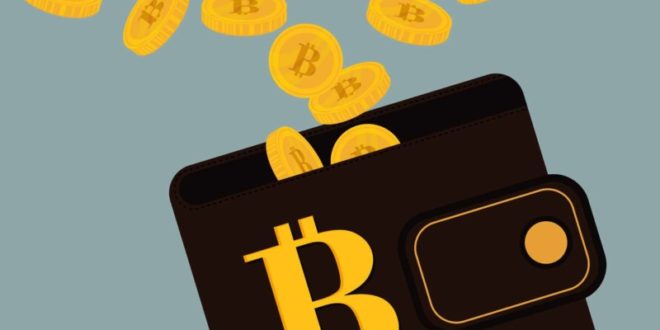 bitcoin как хранить