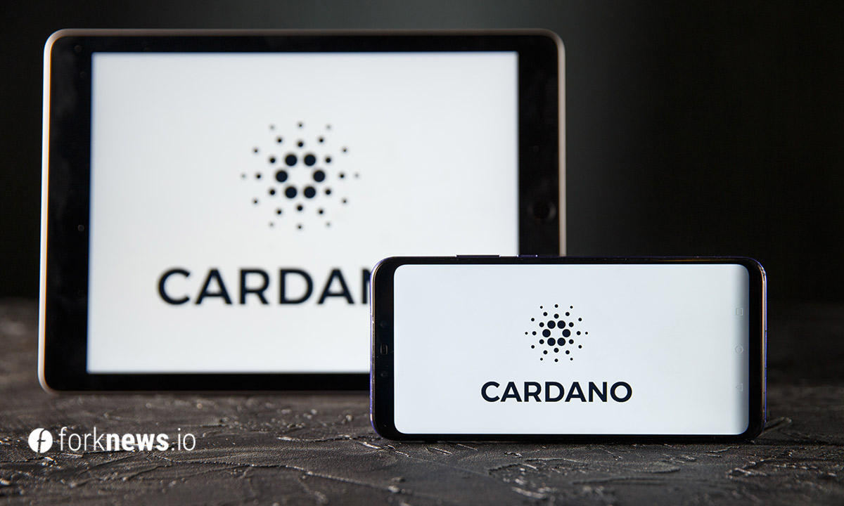 IOHK запустила первую тестовую сеть Cardano Alonzo